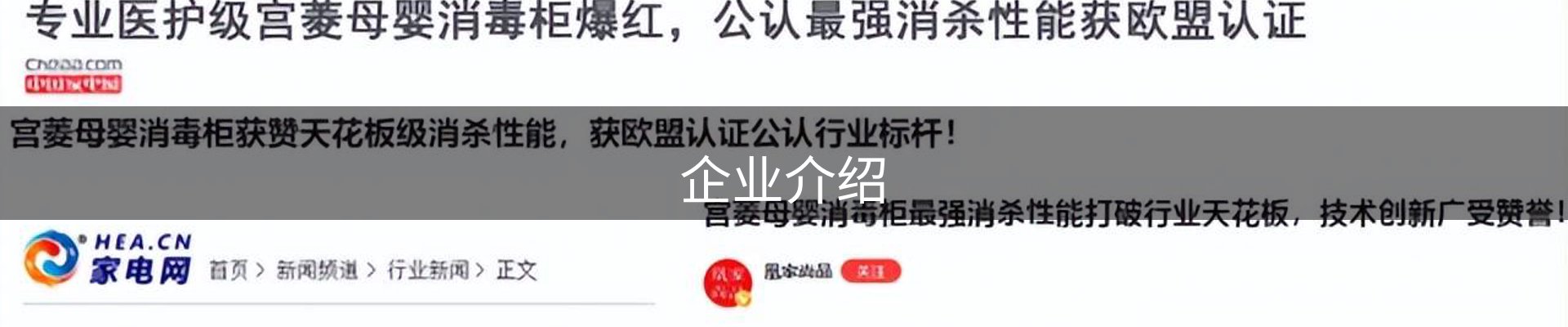 企业介绍